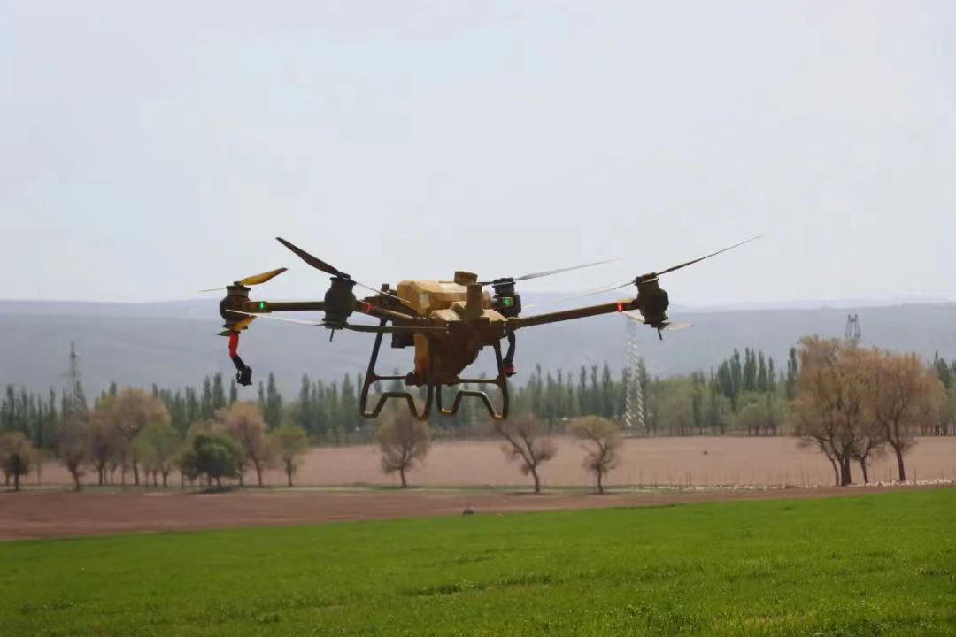 2025-2030年中国植物园行业：都市的“绿心”生物经济的“诺亚方舟”与文旅新地标(图1)